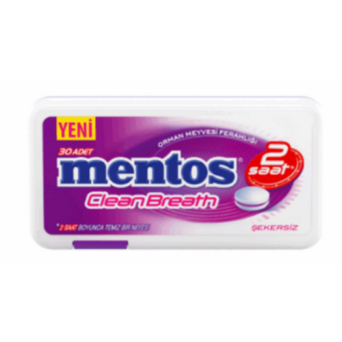 Mentos 2 Hours Clean Breath Plastic Dispenser Forest Fruit Candy 21 gr