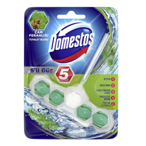 Domestos 5-Way Power Pine Freshness 55 gr