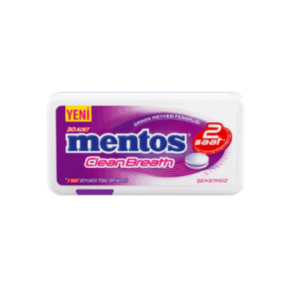 Mentos 2 Hours Clean Breath Plastic Dispenser Forest Fruit Candy 21 gr