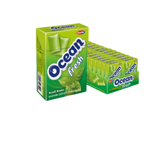 Saadet Ocean Taze Spearmint Flavoured Sugared Dragee Gum 15 gr