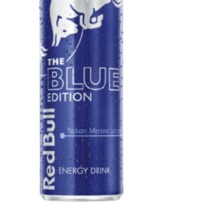 Redbull Energy Drink Blue Edition Blueberry Flavor 250 ml