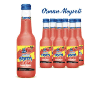 Uludağ Extra Mineral Water with Fruit Water Forest Fruit 250 ml