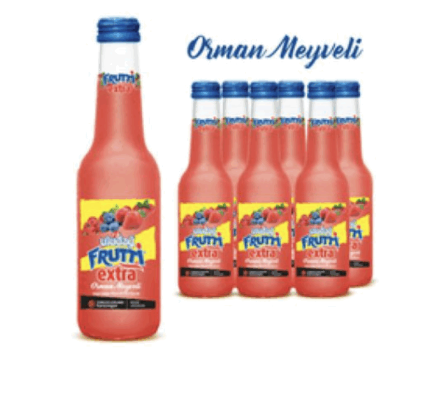 Uludağ Extra Mineral Water with Fruit Water Forest Fruit 250 ml