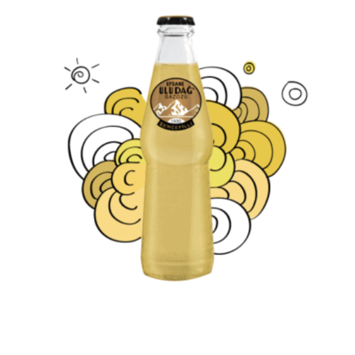 Uludağ Soda Legend Ginger 250 ml