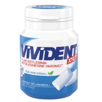 Vivident Xylit Green Mint Gum 67 gr