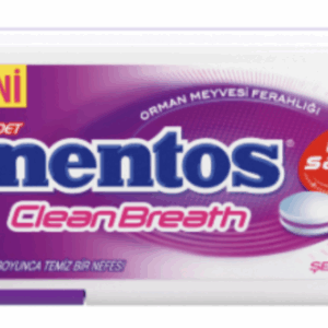 Mentos 2 Hours Clean Breath Plastic Dispenser Forest Fruit Candy 21 gr