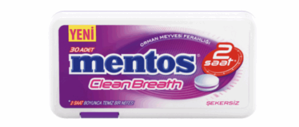 Mentos 2 Hours Clean Breath Plastic Dispenser Forest Fruit Candy 21 gr