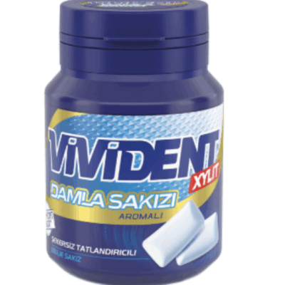 Vivident Mastic Gum Flavored Gum 67 gr