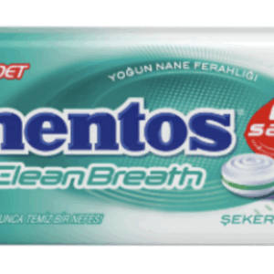 Mentos 2 Hours Clean Breath Metal Candy Intensive Mint Candy 35 gr