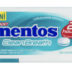 Mentos 2 Hours Clean Breath Plastic Dispenser Mint Candy 21 gr