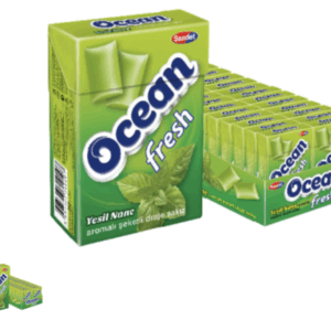 Saadet Ocean Fresh Spearmint Flavoured Sugared Dragee Gum 15 gr