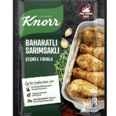 Knorr Spicy Garlic Seasoning 34 gr