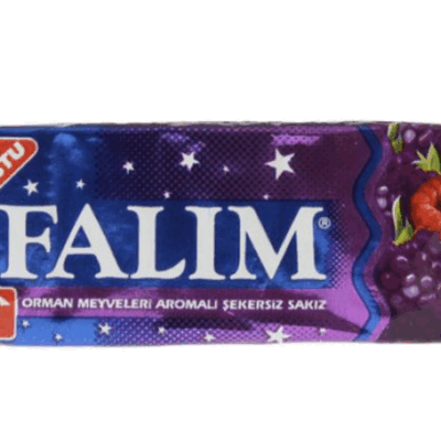Falım Işıl Sugar Free Cheving Gum Forest Fruit    mono