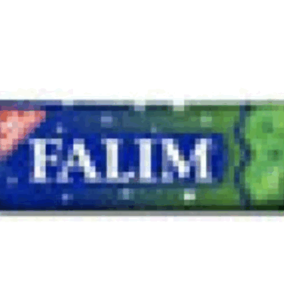 Falım Sugar Free Cheving Gum Mint    mono
